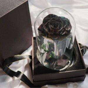 Preserved Black Rose in Glass Dome
